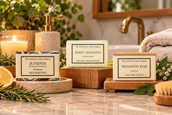 Shampoo Bars